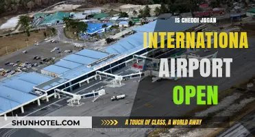 Is Cheddi Jagan International Airport Open? Current Status and Updates