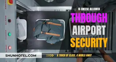 Cheese Conundrum: Airport Security Rules Explained