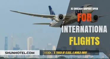 Chicago Airport's International Flight Status: What Travelers Need to Know