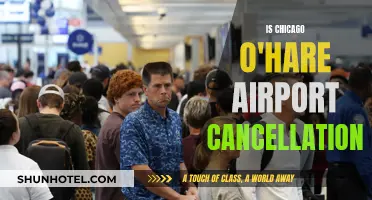 Chicago O'Hare Airport: Frequent Cancellations and Delays?