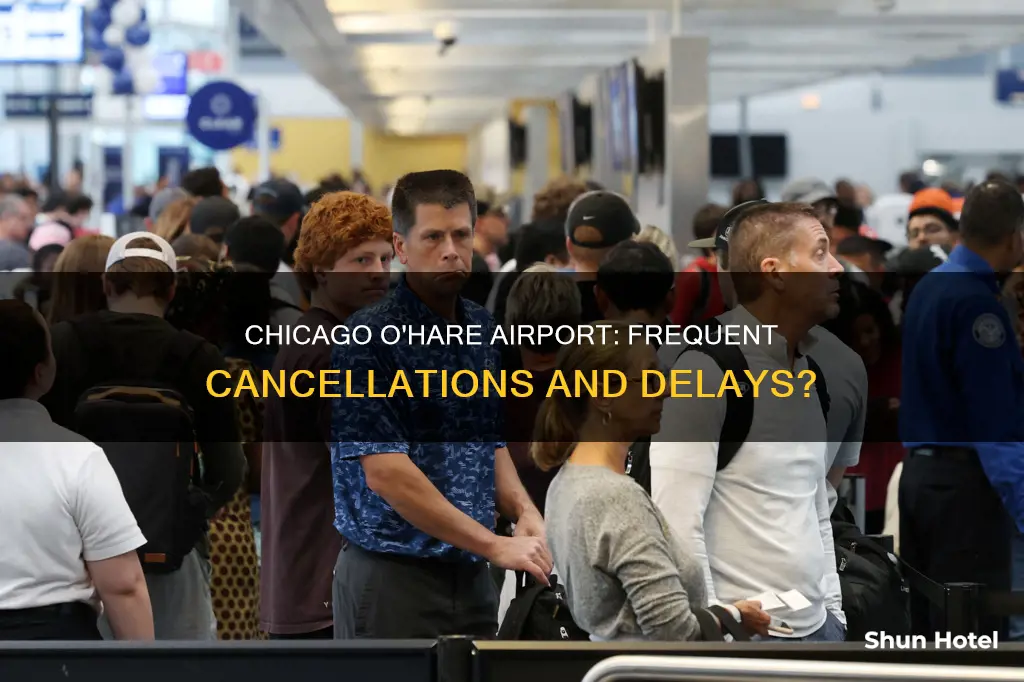is chicago o