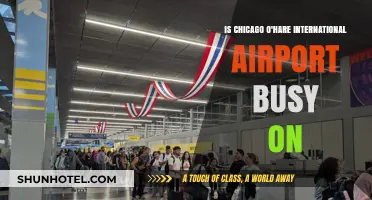 Is Chicago O'Hare Airport Busy? Peak Times and Travel Tips