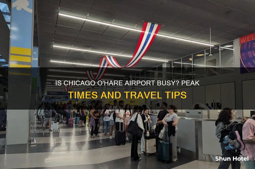 is chicago o
