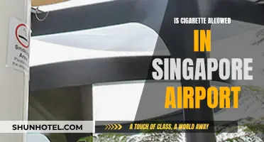 Cigarettes in Changi: Where Can You Smoke?