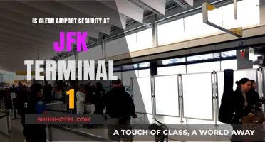 Streamlining Security: A Clear Path Through JFK Terminal 1