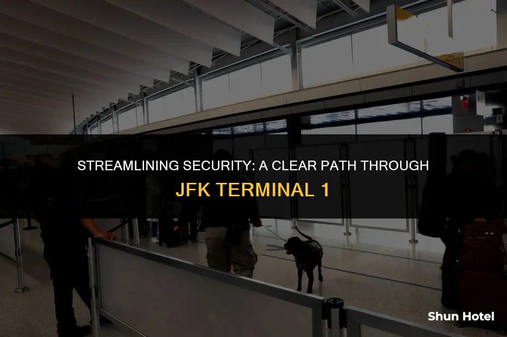 is clear airport security at jfk terminal 1