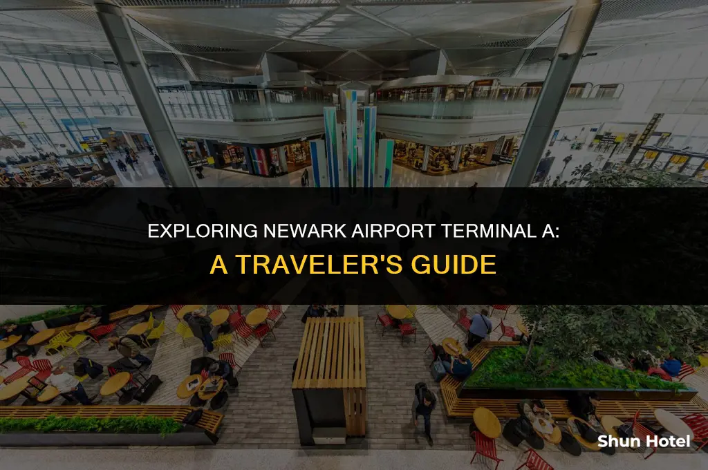 is clear at newark airport terminal a