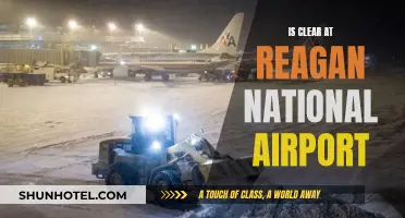 Clear Skies at Reagan National Airport: What to Expect