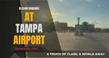Clear Availability at Tampa Airport: Yes or No?