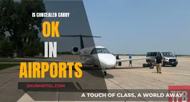 Airports and Concealed Carry: What's the Deal?