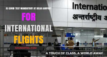 Delhi Airport COVID Test Rules for International Travelers Explained
