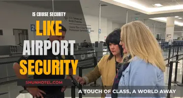 Cruise Security: Similar to Airport Screening?