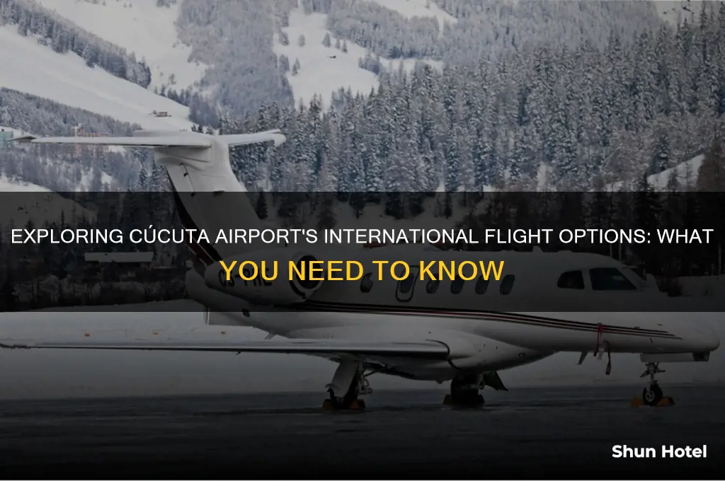 is cucuta airport international flights