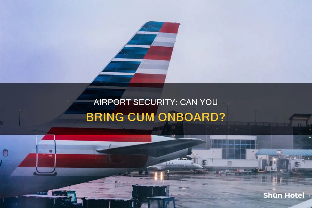 is cum allowed through airport security