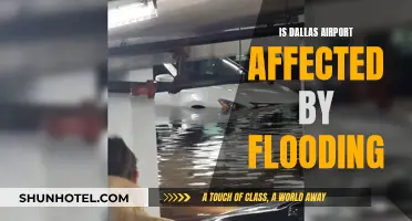 Dallas Airport: Flooding Impacts and Adaptations