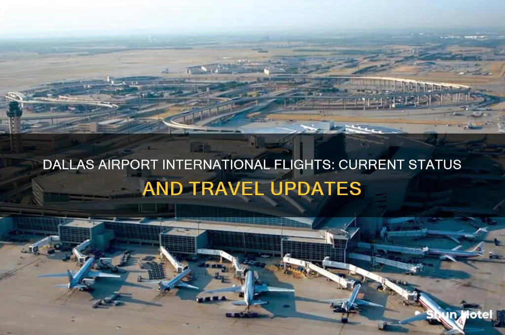 is dallas airport open for international flights