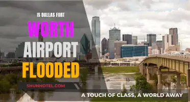 Dallas Fort Worth Airport: Flooding and Flight Disruptions