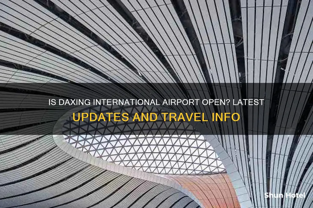 is daxing internationa airport open