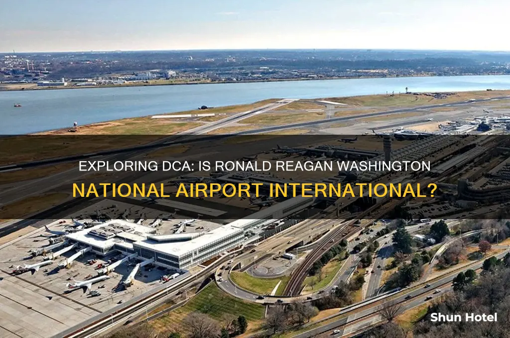 is dca international airport