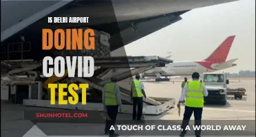 Delhi Airport's COVID Testing: What to Expect?