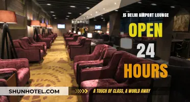 Delhi Airport Lounge: 24-Hour Access or Limited Hours?