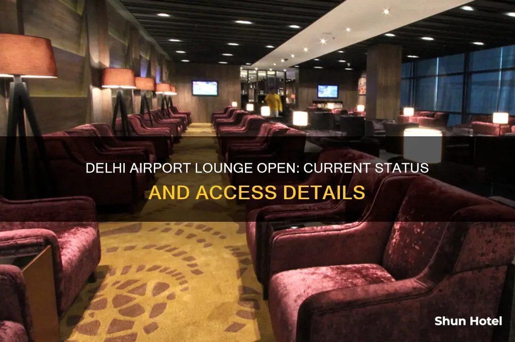 is delhi airport lounge open