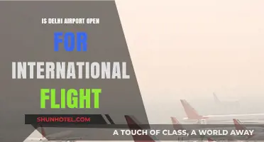 Delhi Airport International Flights: Current Status and Travel Updates
