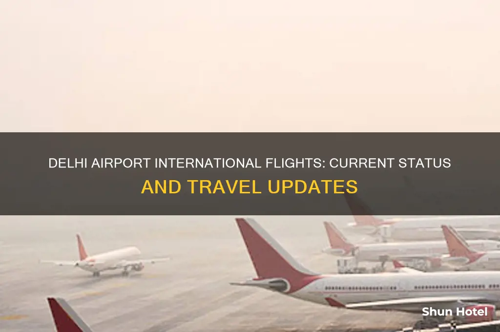 is delhi airport open for international flight