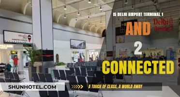 Navigating Delhi Airport: Terminal 1 and 2 Connection Guide
