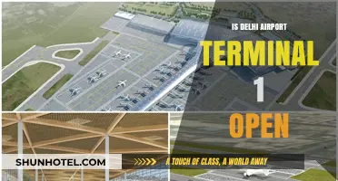 Delhi Airport Terminal 1 Operational Status: Latest Updates and Information