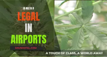 Delta 8 Legality: Airports and Travel