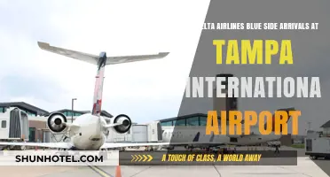 Delta Airlines Blue Side Arrivals at Tampa International Airport: A Guide