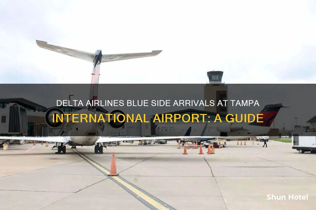 is delta airlines blue side arrivals at tampa international airport