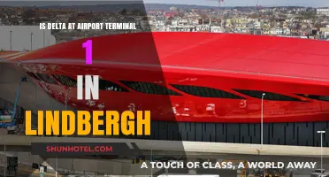 Exploring Delta's Presence at Lindbergh Airport Terminal 1