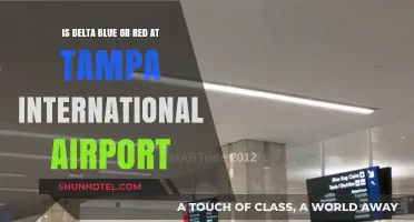 Delta's Tampa International Airport Terminal Color: Blue or Red?