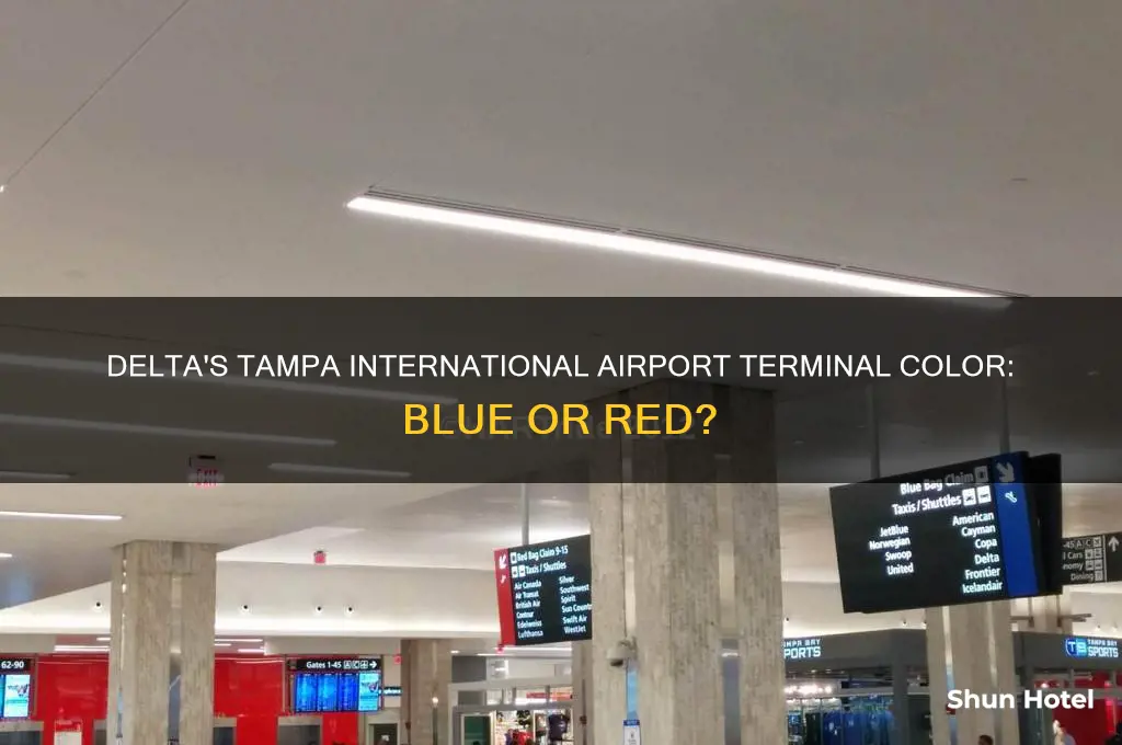 is delta blue or red at tampa international airport