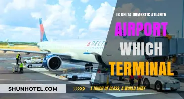 Exploring Atlanta: Which Terminal at Delta Domestic Airport?