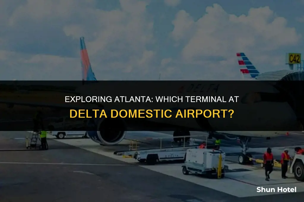 is delta domestic atlanta airport which terminal