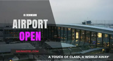 Is Denmark Airport Open? Current Status and Travel Updates