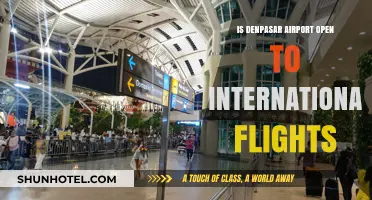 Is Denpasar Airport Open for International Flights? Latest Updates