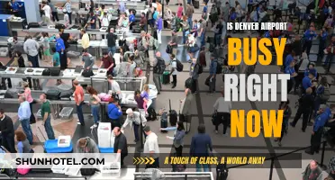 Denver Airport: Current State of Busyness and Congestion