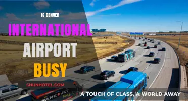 Is Denver International Airport Always Busy? Exploring Passenger Traffic Trends