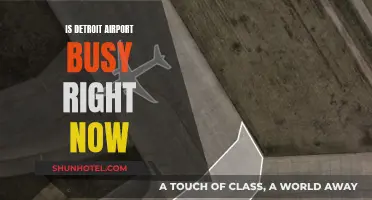 Detroit Airport: Current Busyness and What to Expect