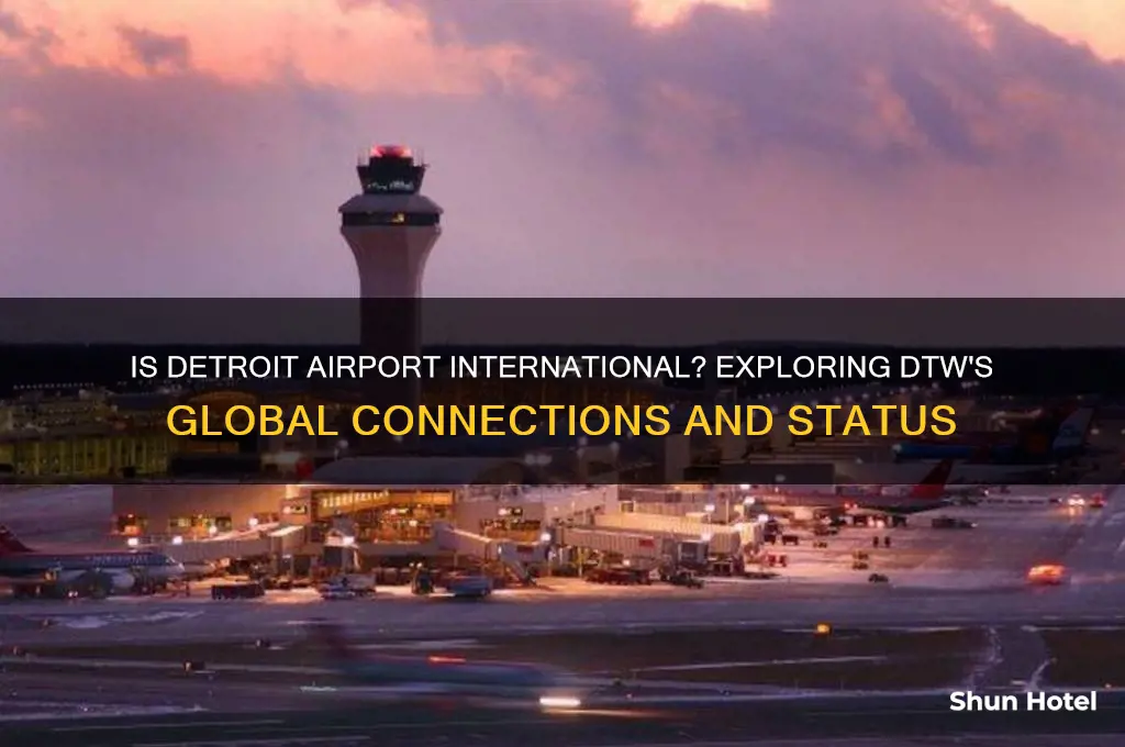 is detroit airport international