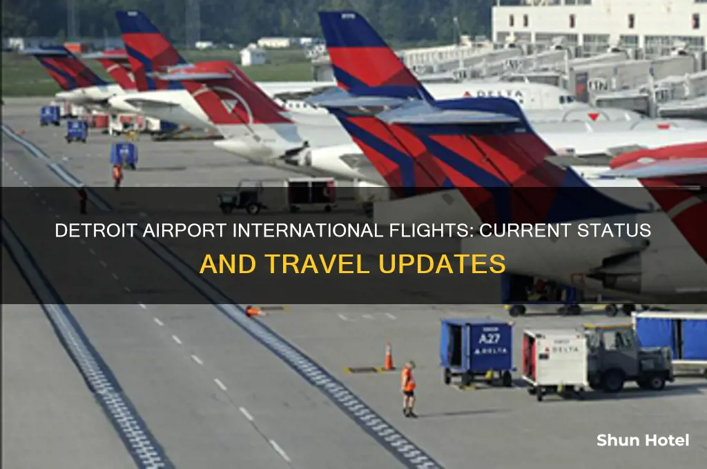 is detroit airport open for international flights