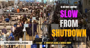Detroit Airport Slows: Shutdown Impact on Travel