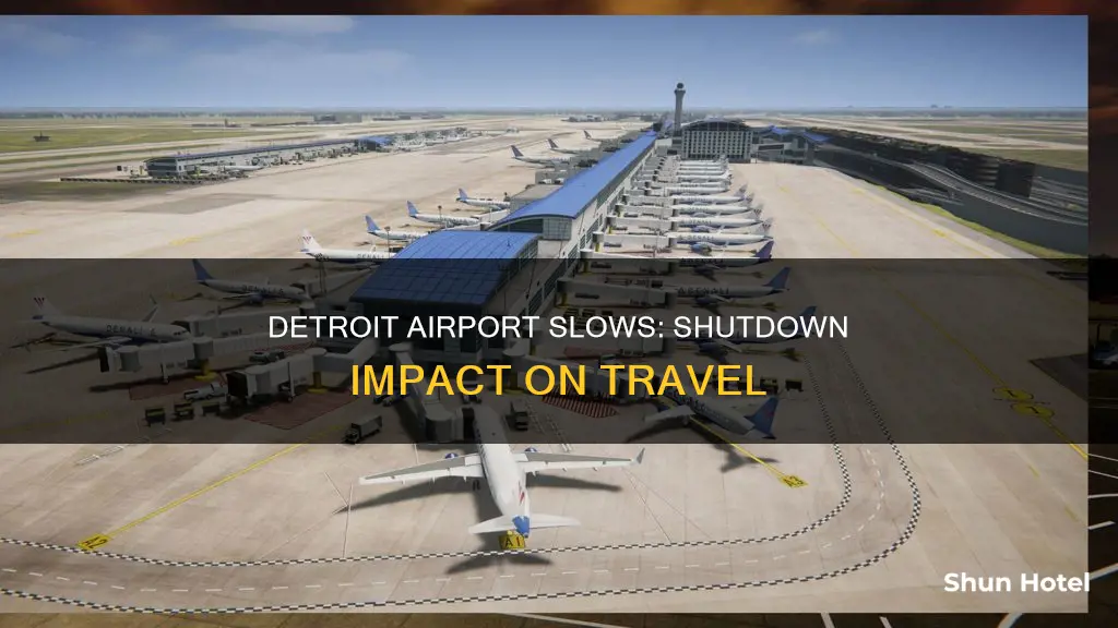 is detroit airport slow from shutdown