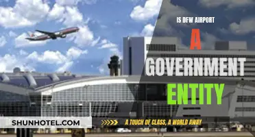DFW Airport: A Government Entity or Not?