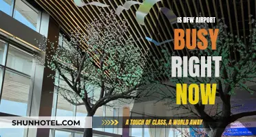 DFW Airport: Current Busiest Times and Trends