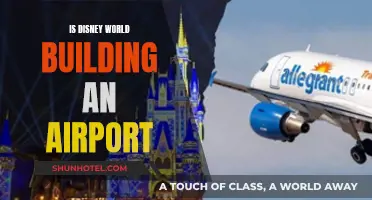 Disney World's Airport Plans: What's the Deal?